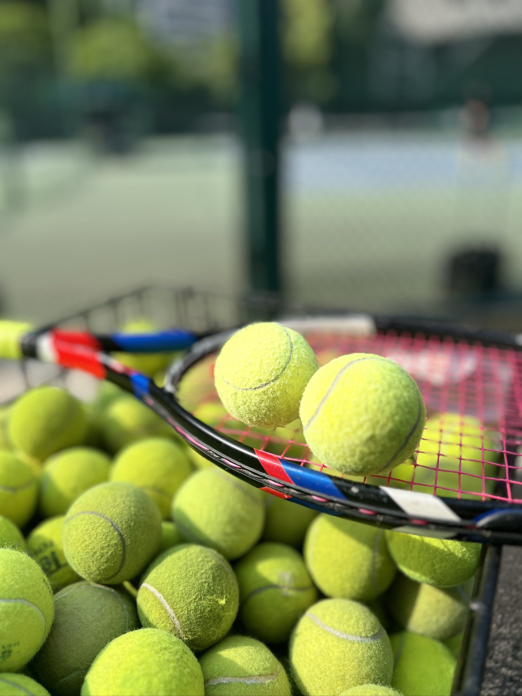 讓這些新星 讓這些新星