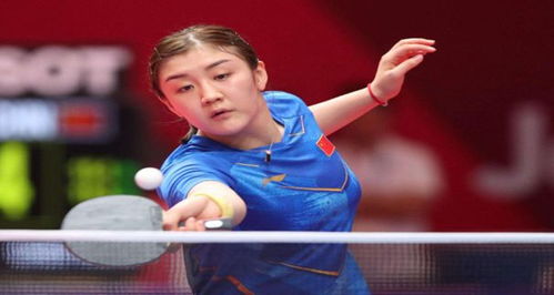 风格相契合 风格相契合